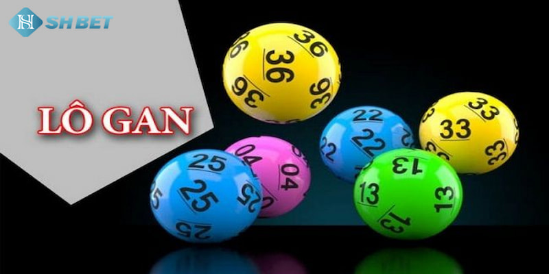 Banner www.anphufarm.com