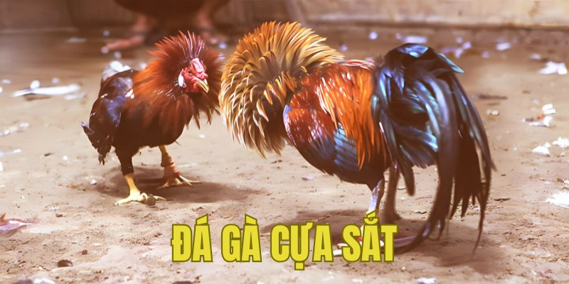 Banner www.anphufarm.com